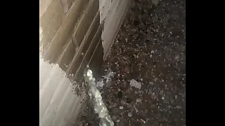 161 pissing porn videos